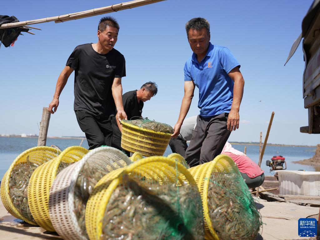 大赢家股票软件下载